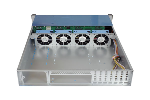 陈伟群日本站退赛后的市场动向分析